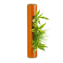 Tube Mtal 40 Mandarine Nature