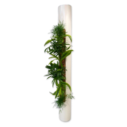 Tube Mtal 70 Ivoire Nature