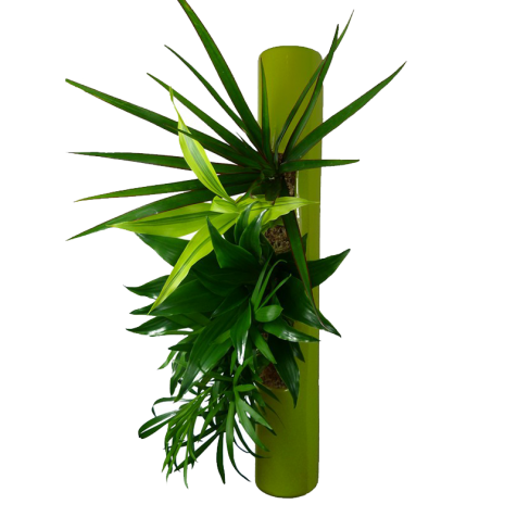 Cer Tube 40 Tilleul Nature 9585