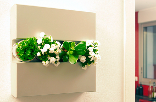 offre flowerbox noel 2012
