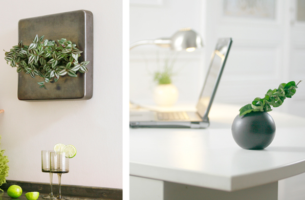 offre flowerbox noel 2012
