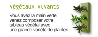 offre végétaux vivants