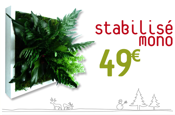 offre flowerbox noel 2012