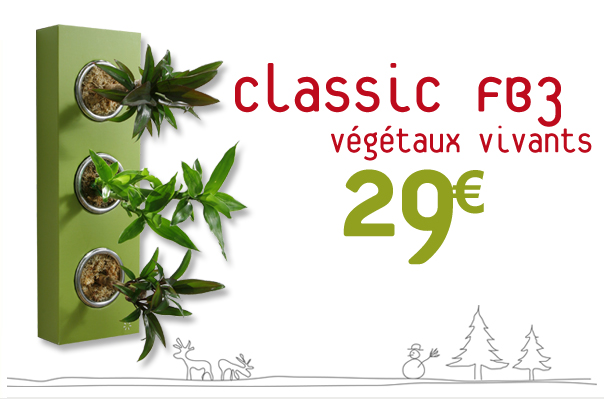 offre flowerbox noel 2012