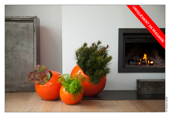 offre flowerbox noel 2012