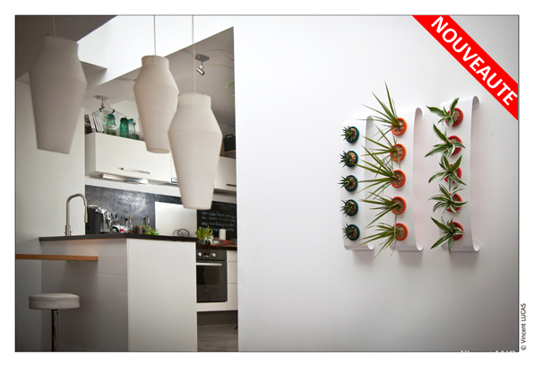 offre flowerbox noel 2012