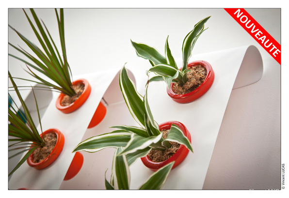 offre flowerbox noel 2012