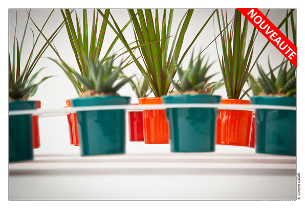 offre flowerbox noel 2012