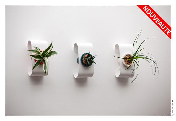 offre flowerbox noel 2012