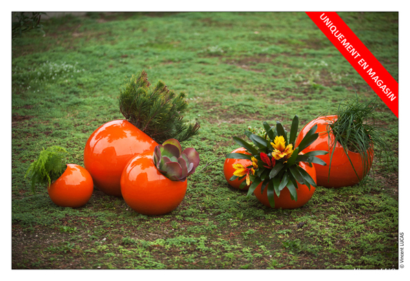 offre flowerbox noel 2012