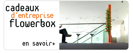cadeaux d'entreprise flowerbox
