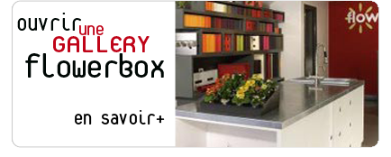ouvrir une flowerbox gallery