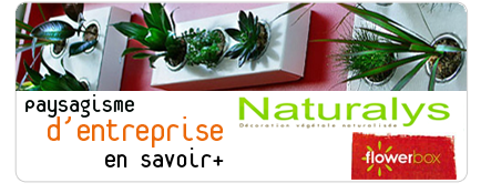 decoration d'entreprise gally