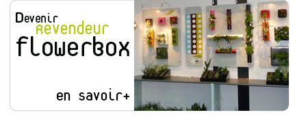 devenir revendeur de flowerbox